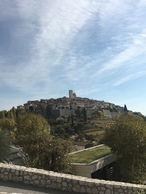B776446E-DD03-4267-B818-42CA6618C7CE.jpeg