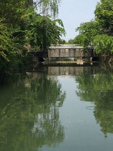 IMG_1834.jpg