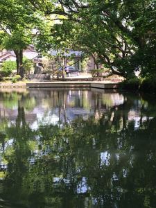 IMG_1841.jpg