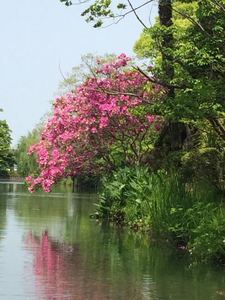 IMG_1842.jpg
