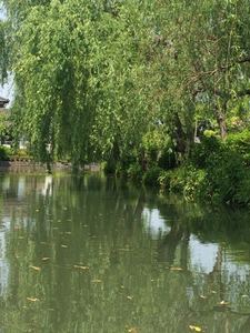 IMG_1844.jpg