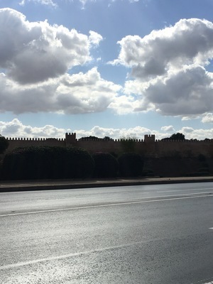 IMG_2734.jpeg