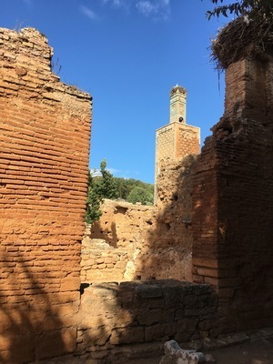 IMG_2742.jpeg