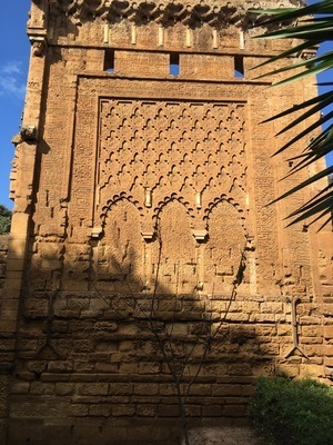 IMG_2743.jpeg