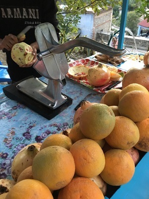 IMG_2841.jpeg