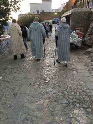 IMG_2846.jpeg