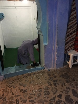 IMG_2848.jpeg