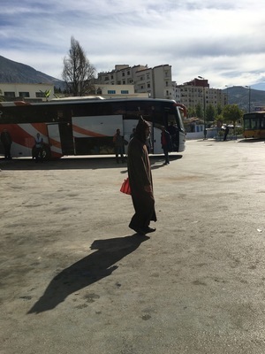 IMG_2879.jpeg