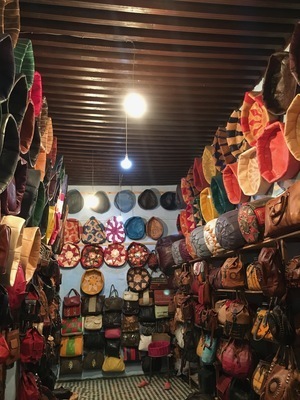 IMG_2934.jpeg