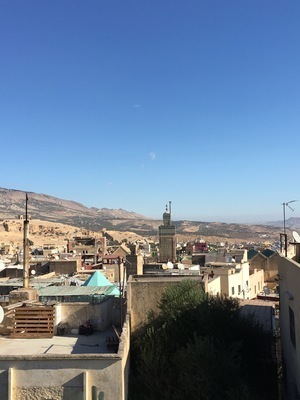 IMG_2960.jpeg