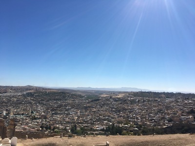 IMG_3034.jpeg