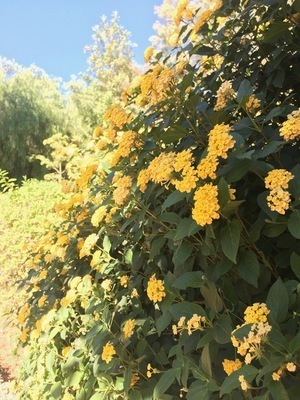 IMG_3086.jpeg