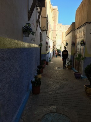 IMG_3098.jpeg