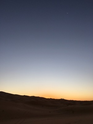IMG_3164.jpeg