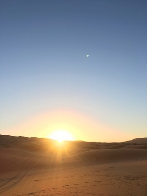 IMG_3169.jpeg