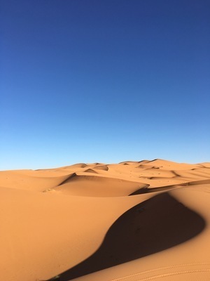 IMG_3201.jpeg