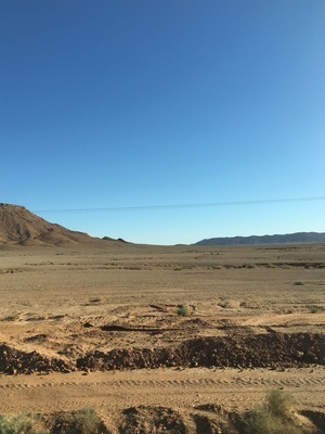 IMG_3216.jpeg