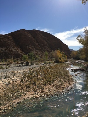 IMG_3293.jpeg