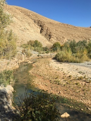 IMG_3296.jpeg