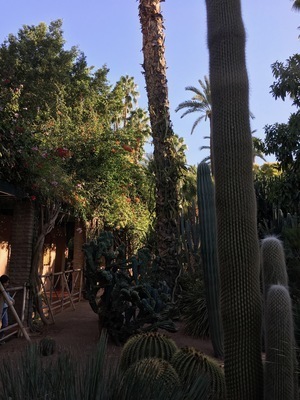 IMG_3332.jpeg
