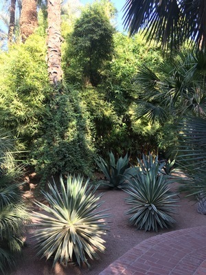 IMG_3340.jpeg