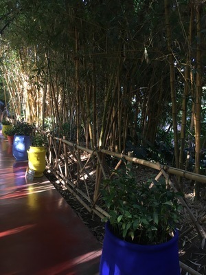 IMG_3341.jpeg