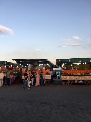 IMG_3383.jpeg