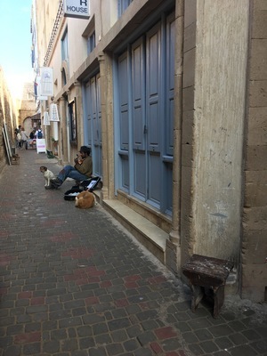 IMG_3401.jpeg