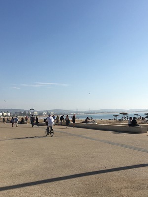 IMG_3420.jpeg