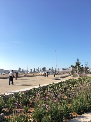 IMG_3421.jpeg