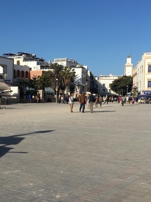 IMG_3429.jpeg