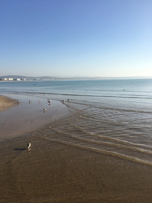 IMG_3435.jpeg