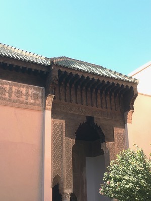 IMG_3448.jpeg