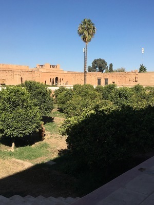IMG_3470.jpeg