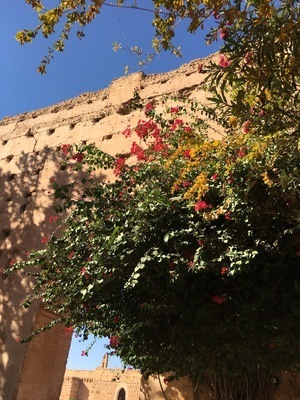 IMG_3472.jpeg