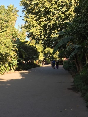 IMG_3475.jpeg