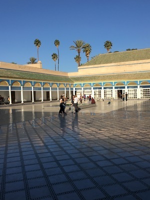 IMG_3482.jpeg