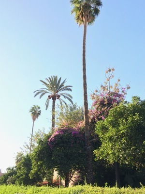 IMG_3490.jpeg
