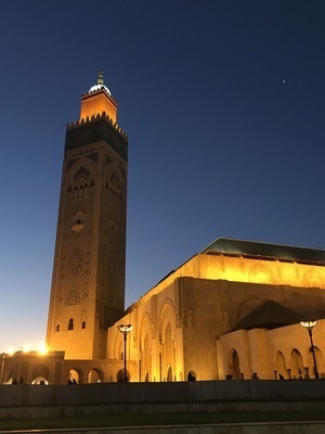 IMG_3507.jpeg