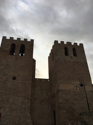 IMG_3532.jpeg