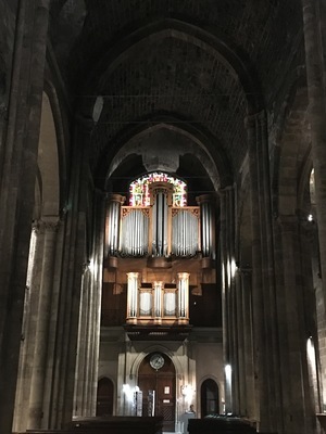 IMG_3536.jpeg